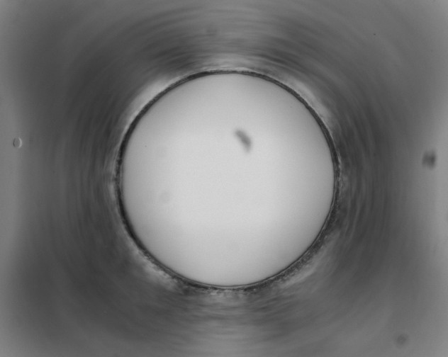 X0000101410901200808041101