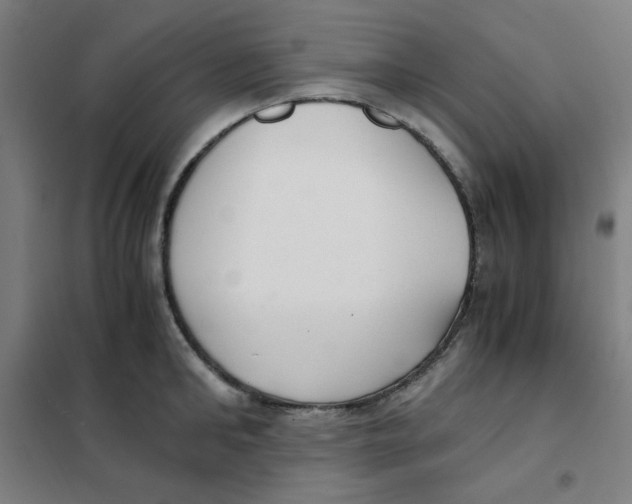X0000101410902200808041101