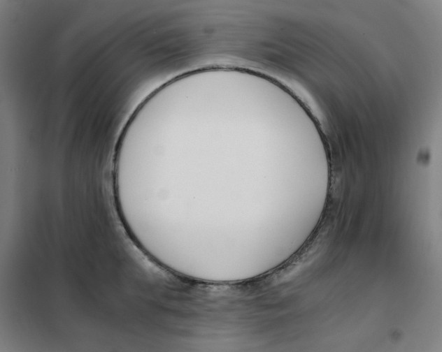 X0000101410903200808041101