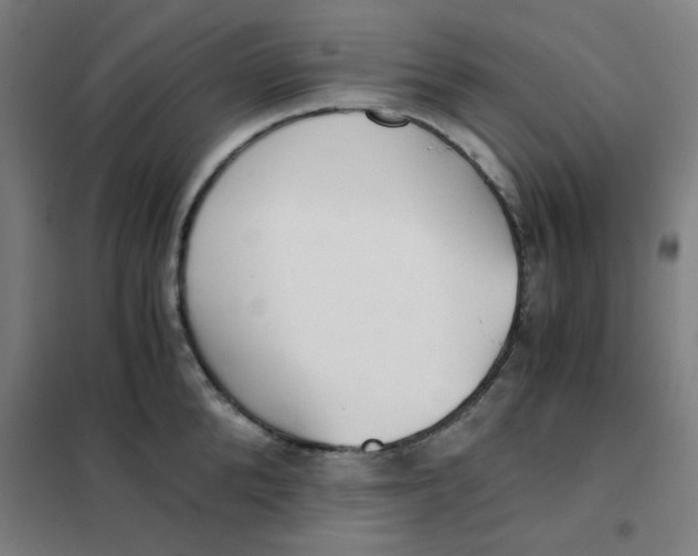X0000101410904200808041101