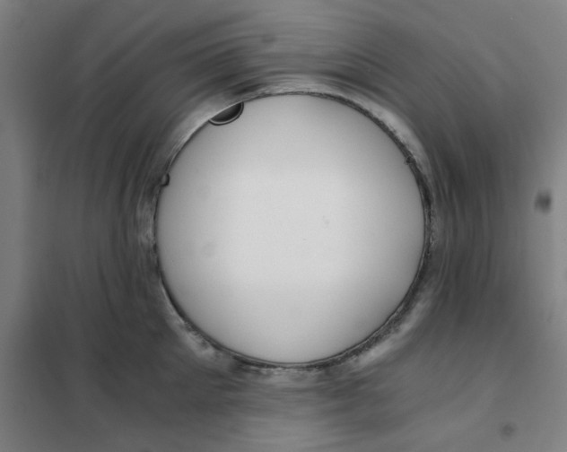 X0000101410905200808041101