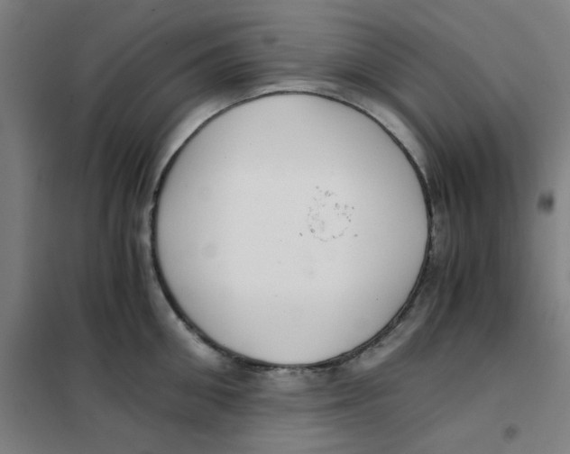 X0000101410906200808041101