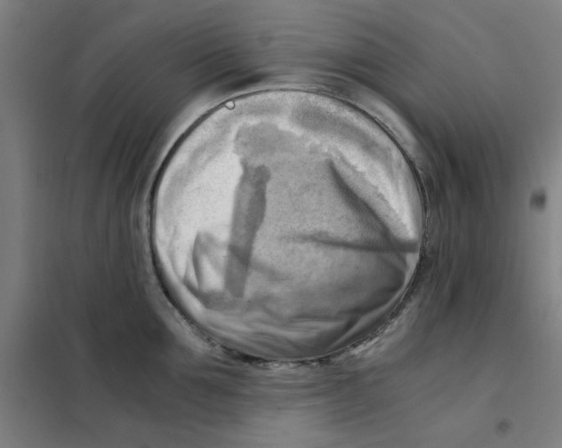 X0000101410907200808041101