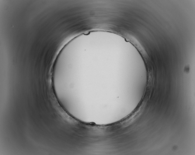 X0000101410908200808041101