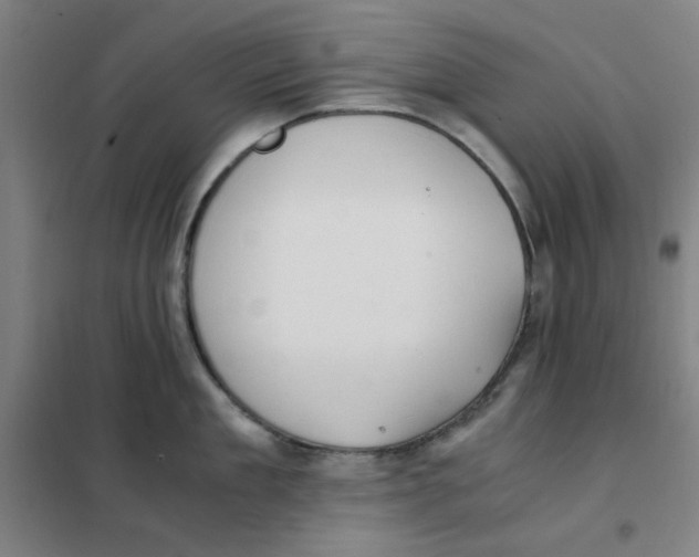 X0000101410909200808041101