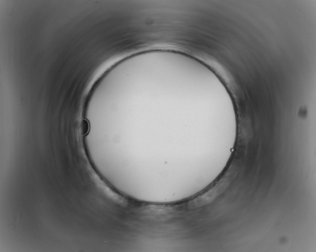X0000101410910200808041101