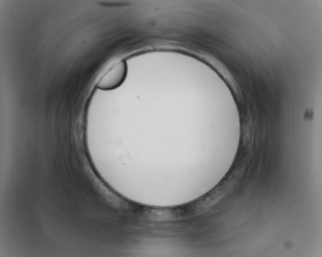 X0000101410911200808041101