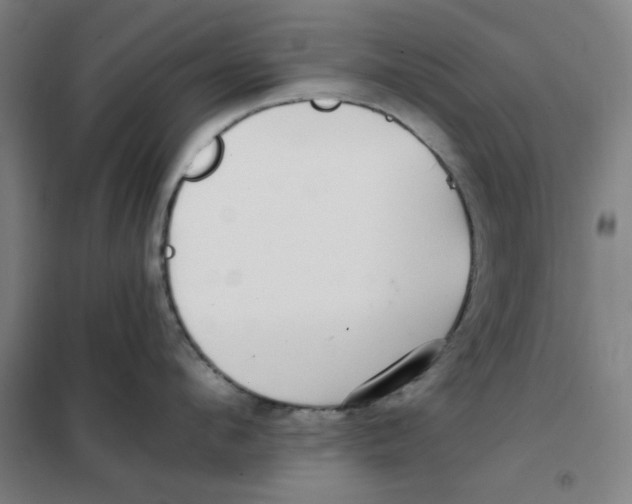 X0000101410912200808041101