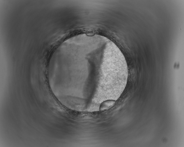 X0000101410913200808041100