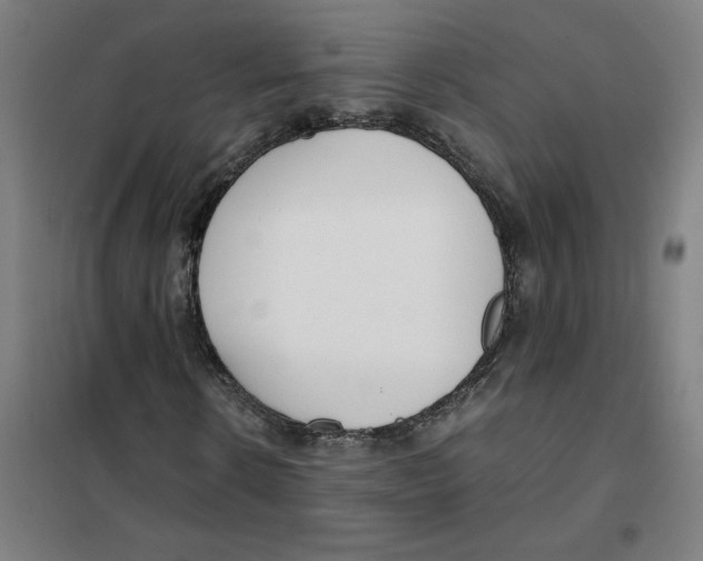 X0000101410914200808041100