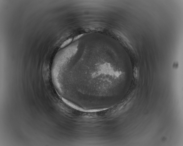 X0000101410915200808041100