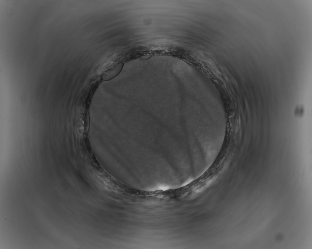 X0000101410916200808041100