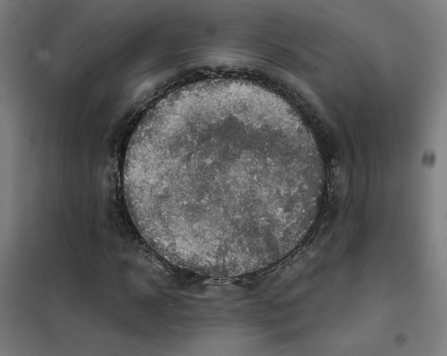 X0000101410918200808041100