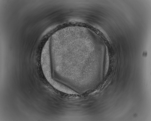 X0000101410919200808041100