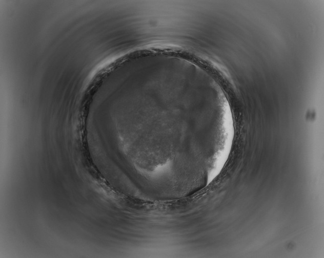 X0000101410920200808041100