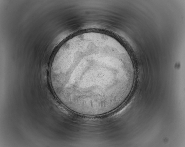 X0000101410921200808041101