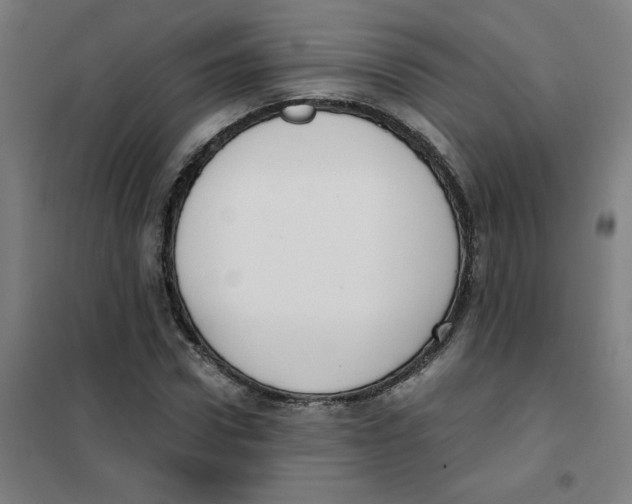 X0000101410922200808041101
