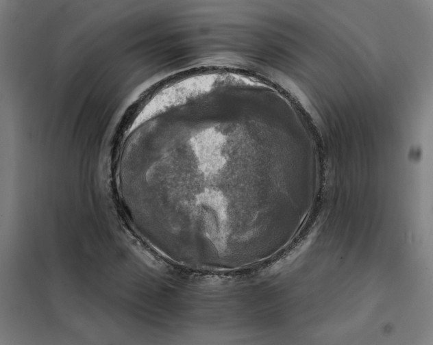 X0000101410923200808041101