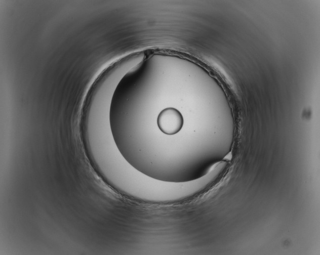 X0000101410924200808041101