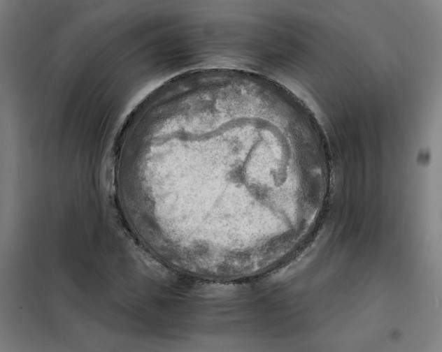 X0000101410925200808041101