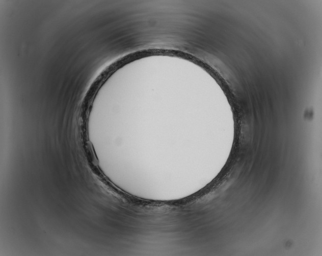 X0000101410926200808041101