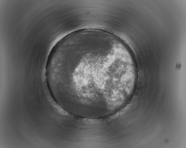 X0000101410928200808041101