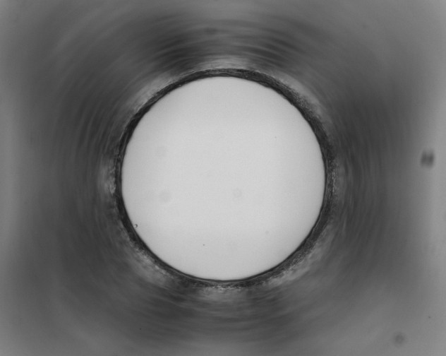 X0000101410929200808041101