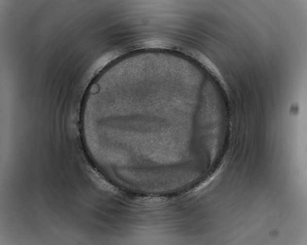 X0000101410930200808041101