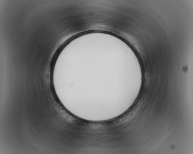 X0000101410931200808041101