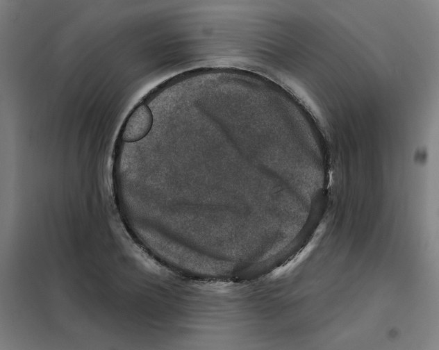 X0000101410932200808041101