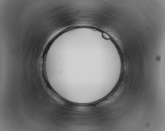 X0000101410933200808041101