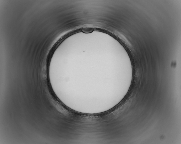 X0000101410934200808041101