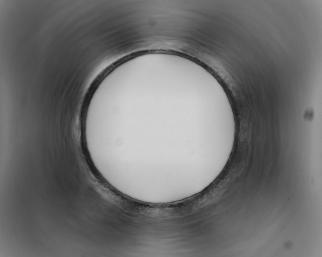 X0000101410936200808041101