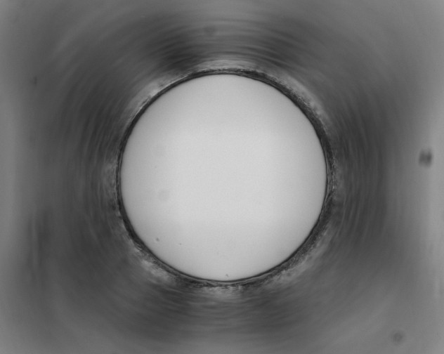 X0000101410937200808041101