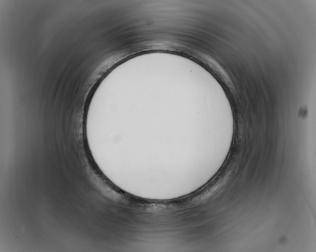 X0000101410938200808041101