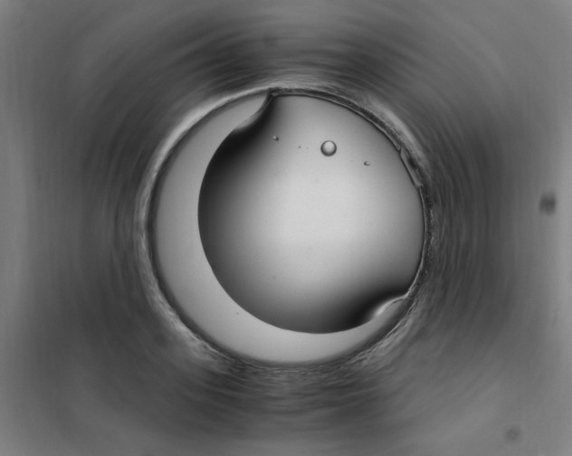 X0000101410939200808041101