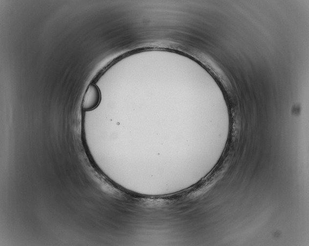 X0000101410940200808041101