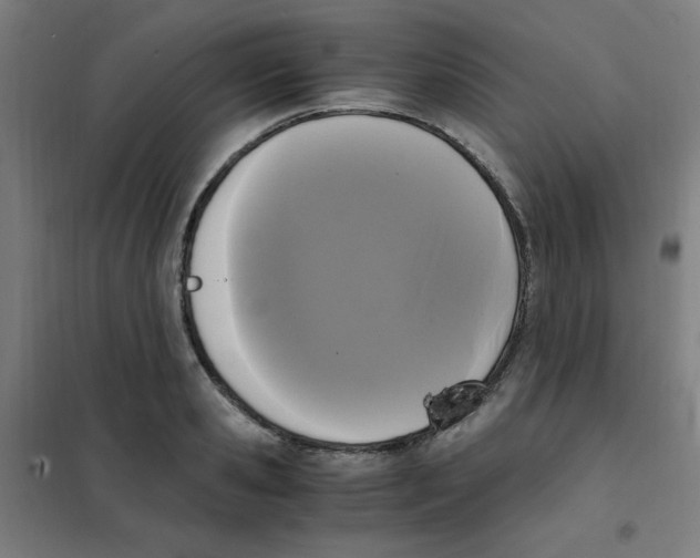 X0000101410941200808041101