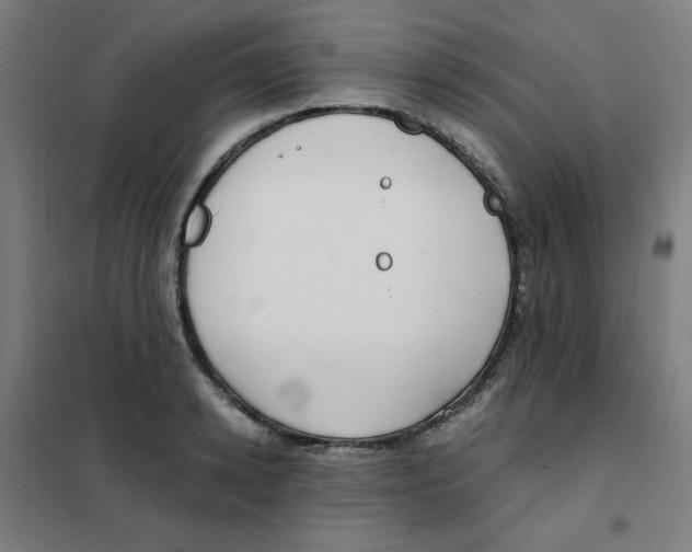 X0000101410942200808041101