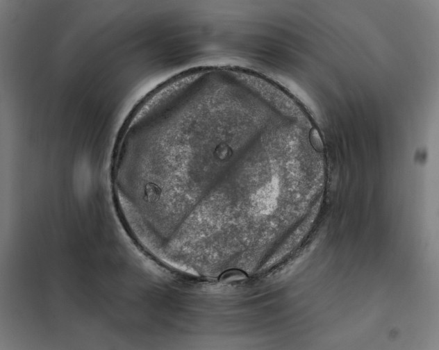 X0000101410943200808041101