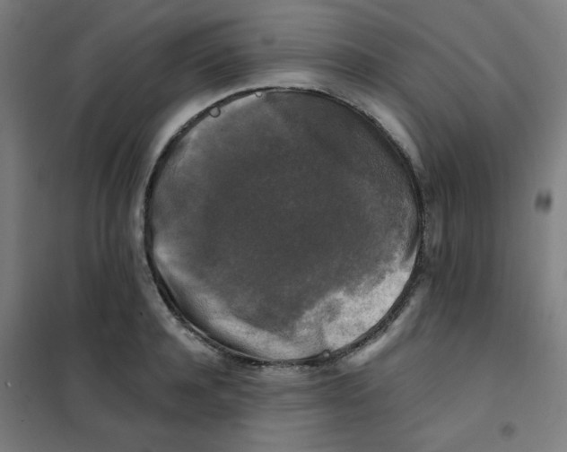 X0000101410944200808041101