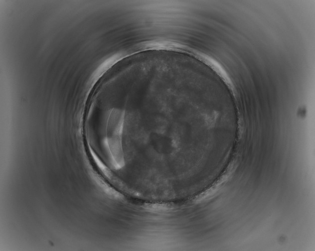 X0000101410946200808041101