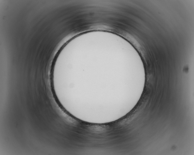 X0000101410947200808041101