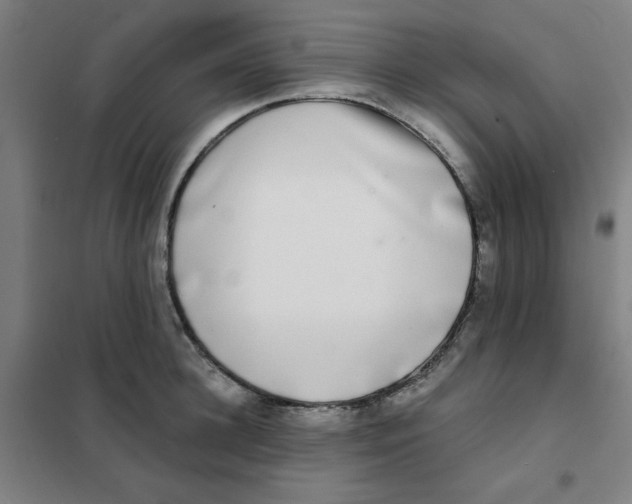 X0000101410948200808041101
