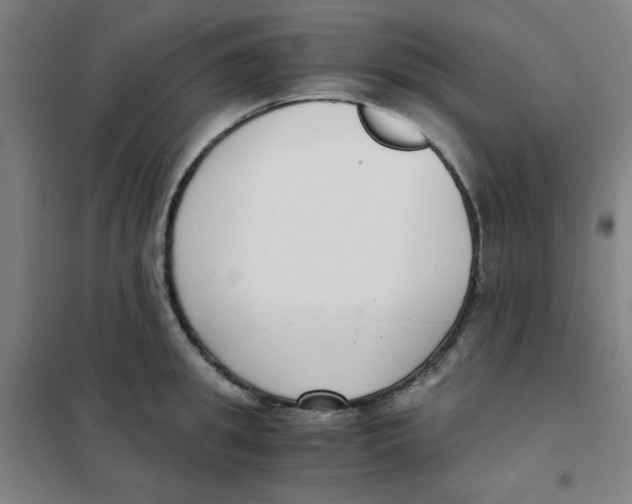 X0000101410949200808041101