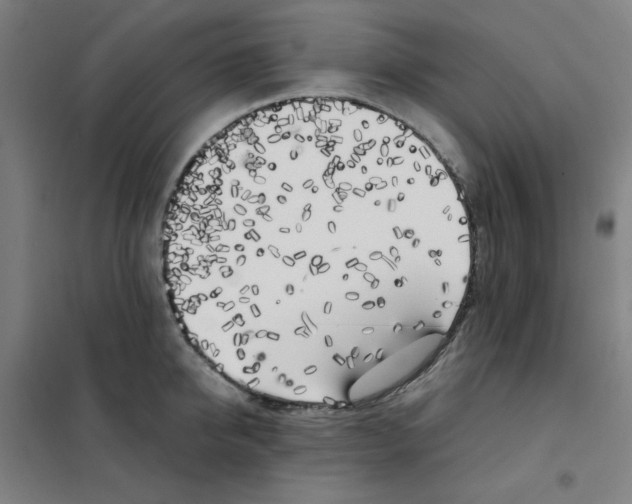 X0000101410950200808041101