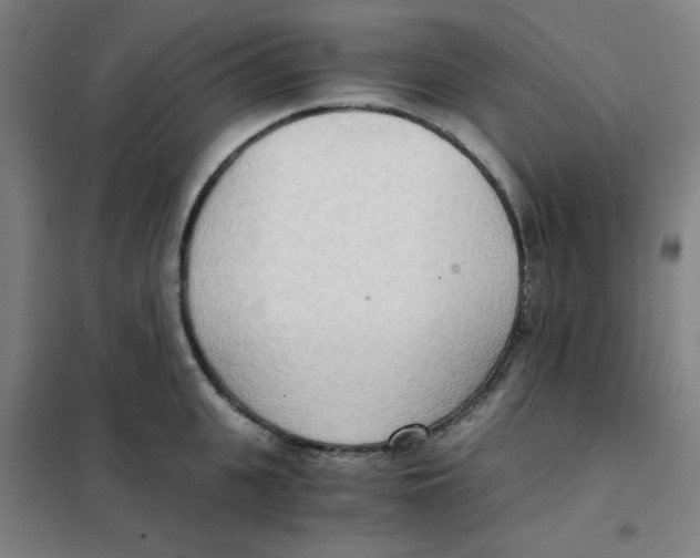X0000101410951200808041101