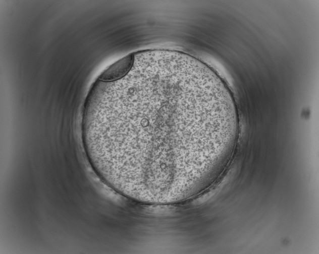 X0000101410952200808041101