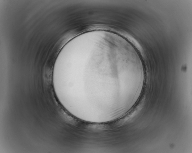 X0000101410953200808041101