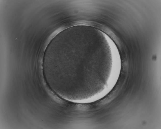 X0000101410954200808041101